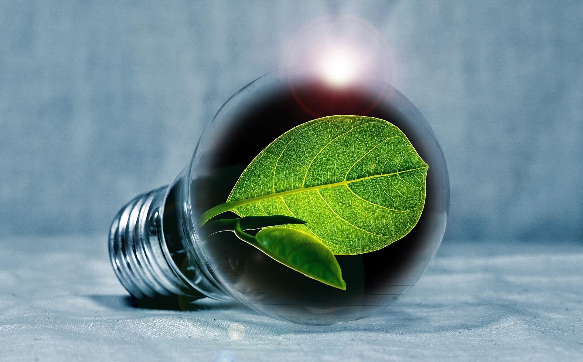 Innovation GAGNEPARK